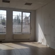 Lokal na wynajem