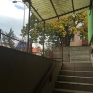 Lokal na wynajem