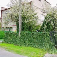 Dom na sprzedaż
