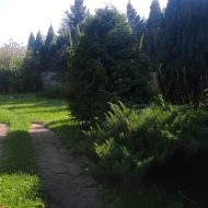 Dom na sprzedaż