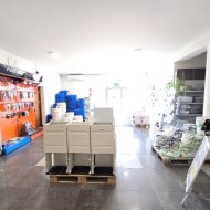 Lokal na wynajem