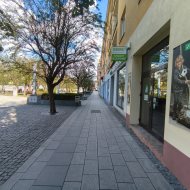 Lokal na wynajem