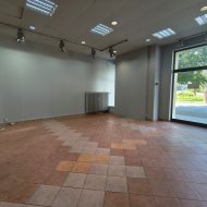 Lokal na wynajem